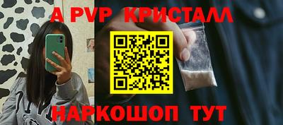 шишки Ставрополь