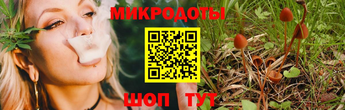 Галлюциногенные грибы Psilocybine cubensis Балашиха